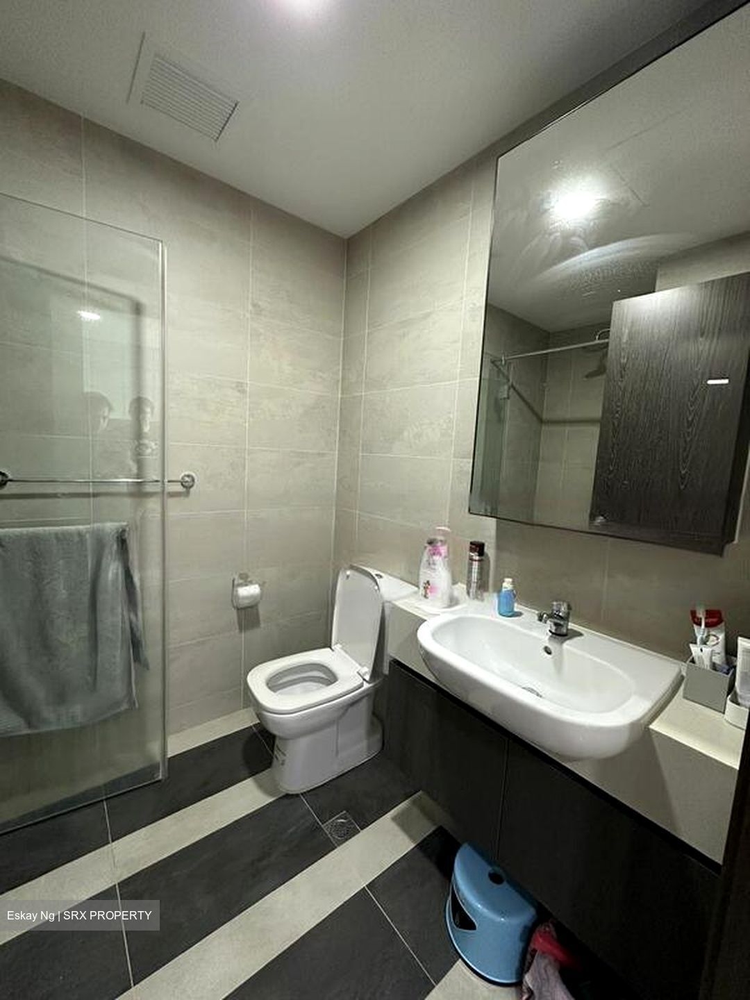 Parc Riviera (D5), Condominium #479102741